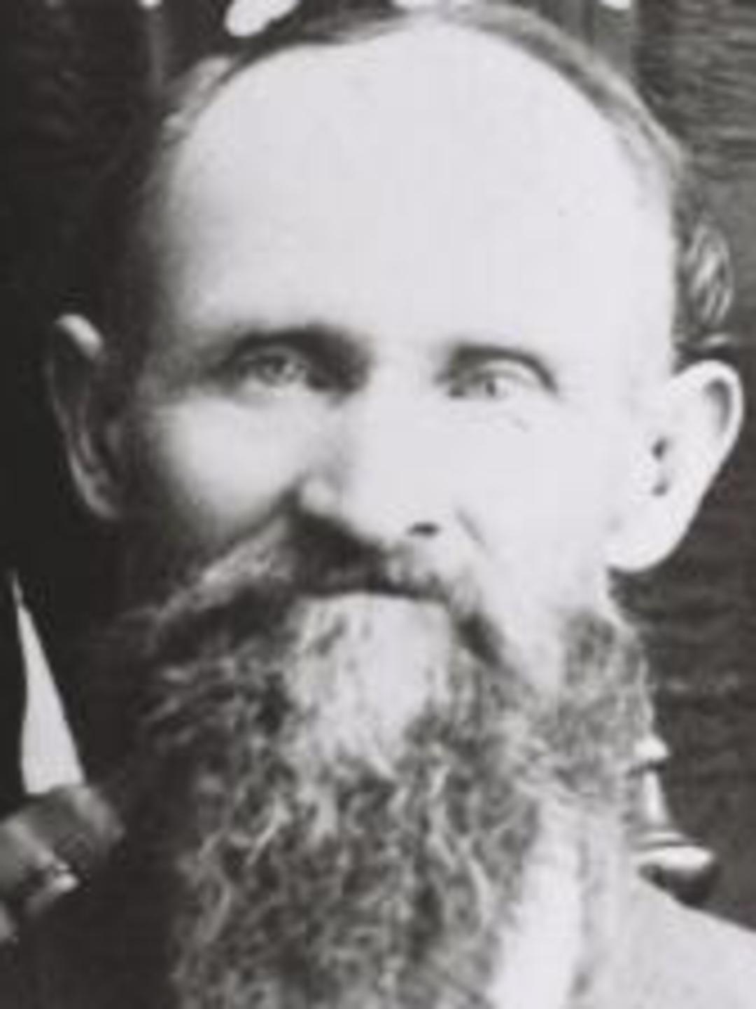 William Wallace Merrill (1835 - 1915) Profile